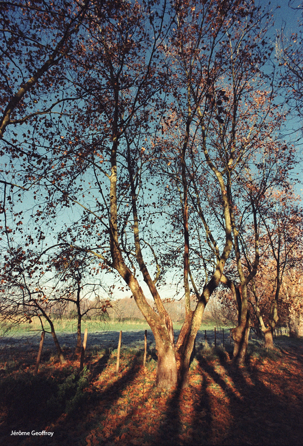 Les couleurs de&nbsp;Kodak