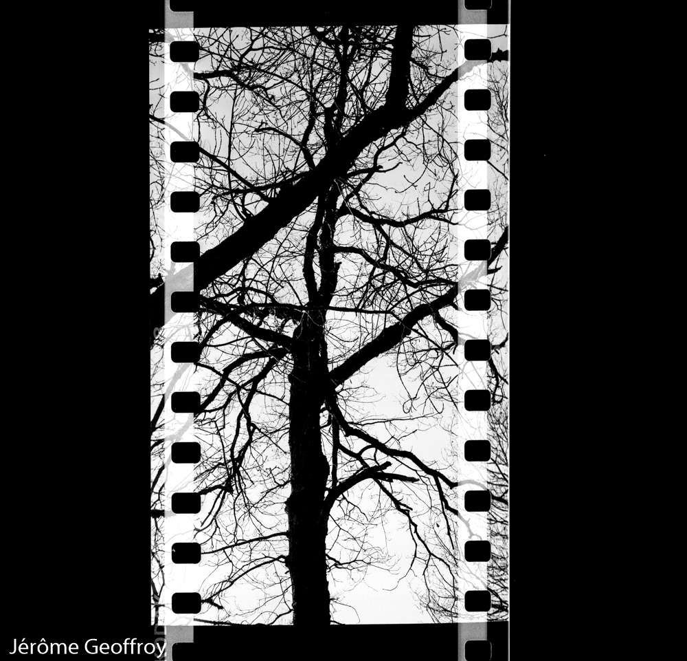 Panoramiques verticaux