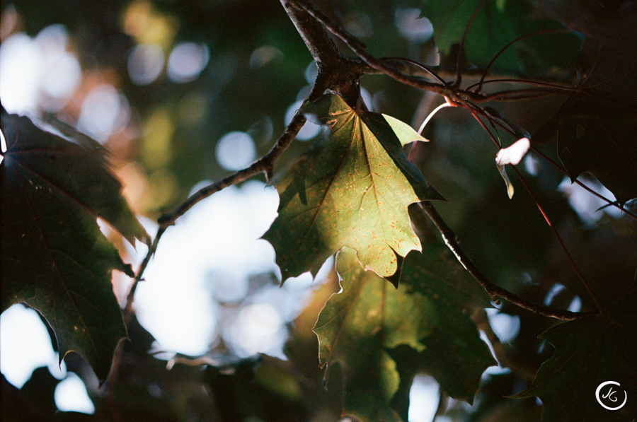 35 mm f1,4&nbsp;Samyang